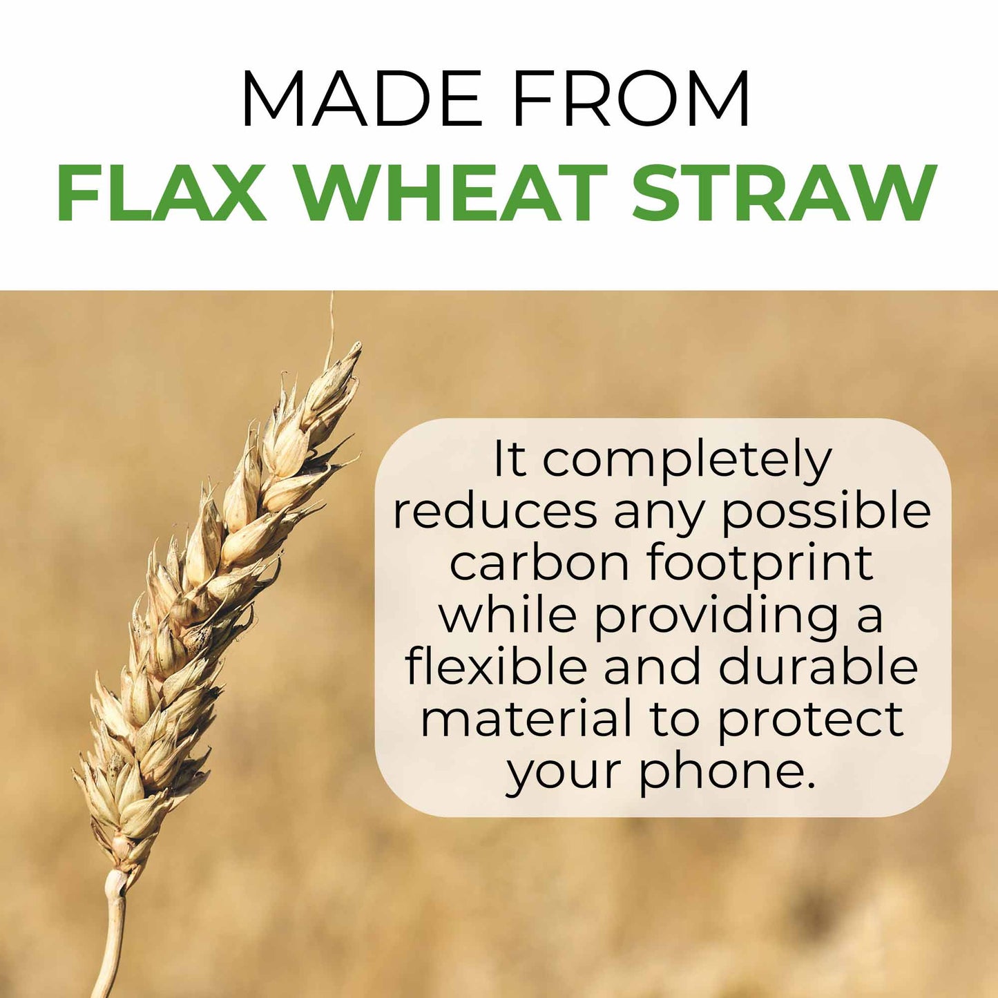 Biodegradable Phone Case - Natural White